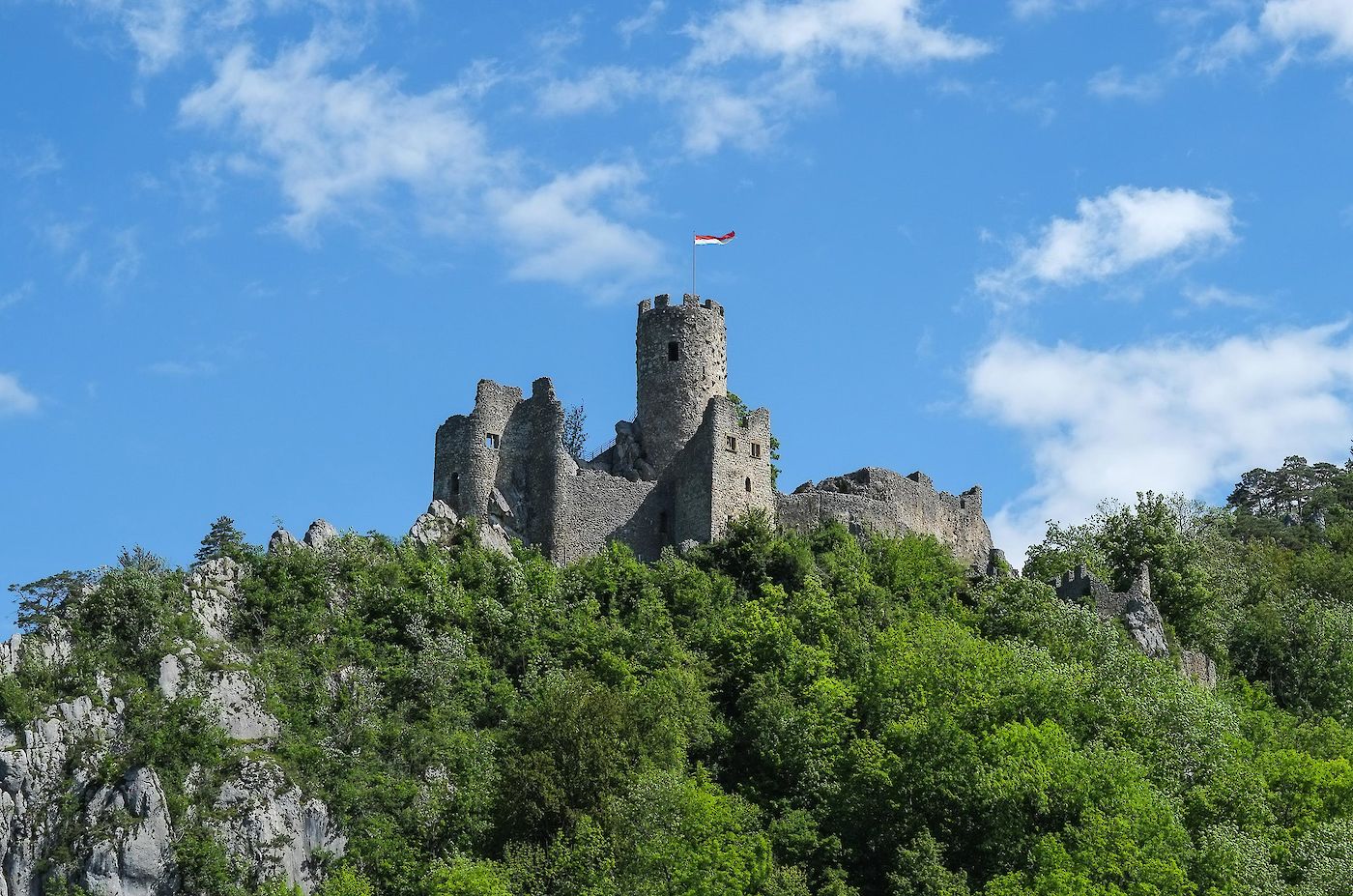 Ruine Neu-Falkenstein