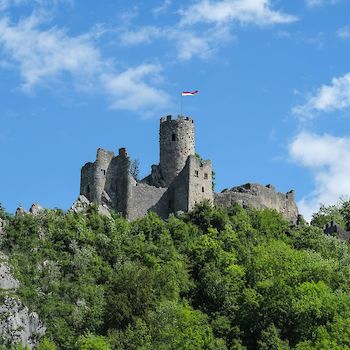Ruine Neu-Falkenstein