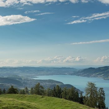 Blick auf Thun und den Thunersee von Aeschiried